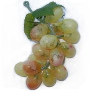 Виноград зеленый с напылением фото