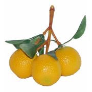 Кисть лимонов круглых фото
