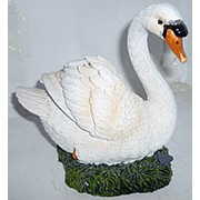 Сувенир Белый лебедь на траве 4857 13х14,5 см.