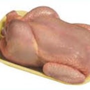 Мясо птицы охлажденное от производителя Харьковптицепром, ООО Украина