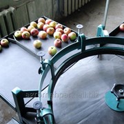 Линия калибровки (сортировки) фруктов (установка калибровочная)