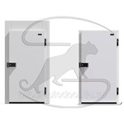 Дверь для холодильной камеры 800х1800мм/80 мм среднетемпературная