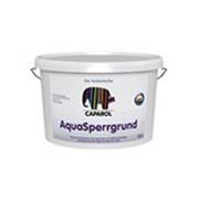 AquaSperrgrund (12,5 л)