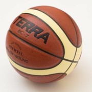 Мяч баскетбольный Terrasport-BS004