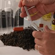 Обсследование и анализ почвы на питательные вещества