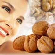 Грецкие орехи опт и розница фото