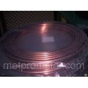 Труба М1Р ф24х2,0х6000 тв фото