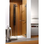 Душевая дверь Radaway Carena DWJ 100 фото