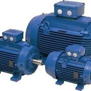 Электродвигатель 5АИ 355 S2 асинхронный трехфазный фото