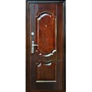 Дверь металлическая входная Yasin Е01В фото