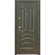 Дверь металлическая Goldengreen фото