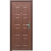 Дверь металлическая D101 большие двери фото