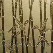 Бамбук бронза фото