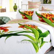 Le Vele постельное белье з цветками Aliza-White фото