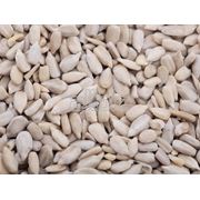 Семечки жареные в упаковке фото