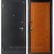 Входная металлическая дверь К2-П1