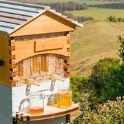 Wholesale Beehives and Bee Wax for beekeeping фото