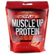ПРОТЕИН MUSCLE UP PROTEIN ACTIVLAB 2000G