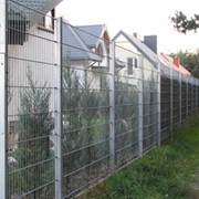 Забор двойной панельный забор Кольчуга фото