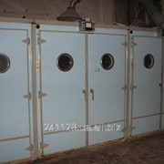 Услуги по инкубации яиц фото