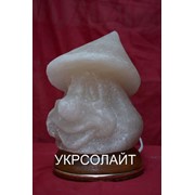 Скульптура из чистой кристаллической соли в сочетании с деревом “ГНОМ. Сказочный персонаж“ фото