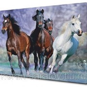 Картина на холсте 50х70 п287 фото