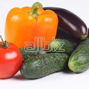 Овощи | Огурец засолочного типа 9-12см фото