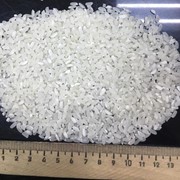 Белый круглозерный рис фото