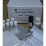Препараты фармацевтические Тиреоглобулин (ИФА-ТГ-1) фото