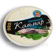 Кальмар Нежный фото