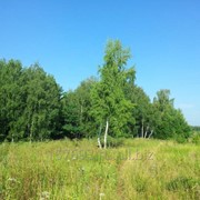 Земельный участок 36,8 га на берегу реки на границе с Московской областью