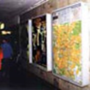 Реклама в метро: Щиты в вестибюлях и переходах станций метро фото