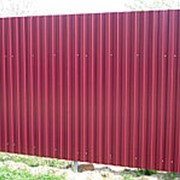 Забор из профнастила. Цвет КРАСНОЕ ВИНО RAL 3005 высота 2м