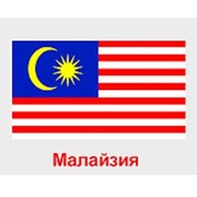Контейнерные перевозки из Малайзии фото