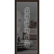 Межкомнатные стеклянные двери (серия Витро) Тип 450 П 6 (черный графит) фото