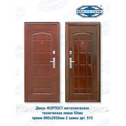 Дверь металлическая техническая левая 50мм проем-860х2050мм 2 замка арт510