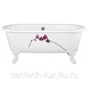 E2942-00 ванна CLEO/170x80/ окрашенная в белый цвет, на лиц. стороне цветок орхидеи фото