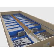 Продукция рыбная фото