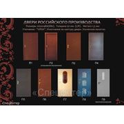 Двери российского производства, металл 1,5мм фото
