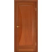 Межкомнатная шпонированая дверь (серия Композит) Тип 209 дф (Красное дерево)