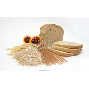 Продукты и напитки. Продукты питания пищевые ингредиенты. Продукты быстрого приготовления полуфабрикаты Хлебцы пшеничные сухие завтраки. фотография