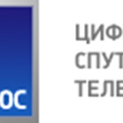 НТВ-плюс фото