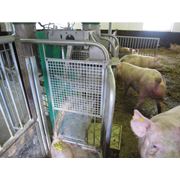 Кормушки для свиней стальныелинии кормовые FITMIX фото