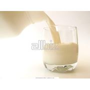 Продукция молочная фотография