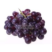 Сусло сульфитированное виноградное фото