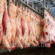 Мясо свежемороженное в Казахстане фотография
