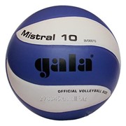 Мяч волейбольный Gala Mistral BV5661SC