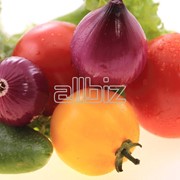 Овощи свежие фотография