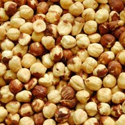 Фундук орех фото