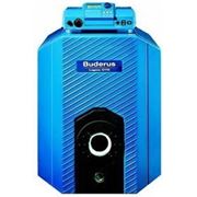 Котел комбинированный диз/газ Buderus Logano G125 WS 25 фото